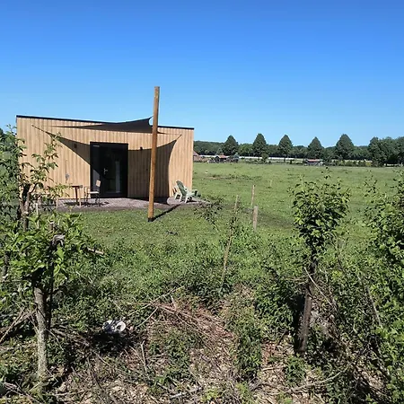 Natuurhuisje 't Hoogbos - Bosrand *