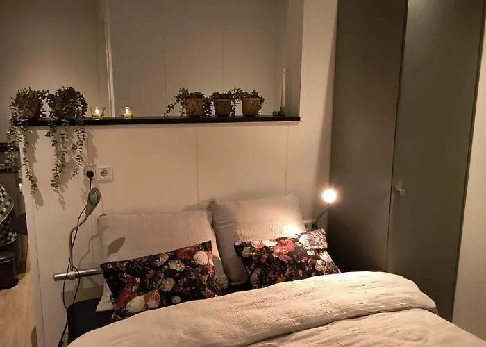 Natuurhuisje 't Hoogbos - Bosrand Schijf