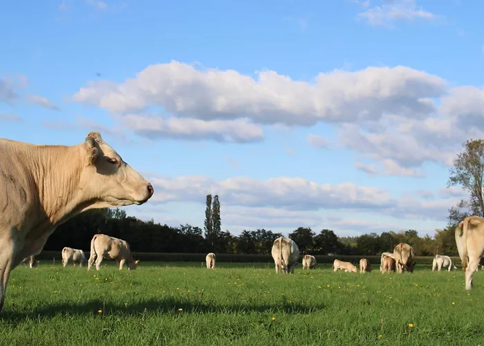Natuurhuisje 't Hoogbos - Bosrand אכסניה *